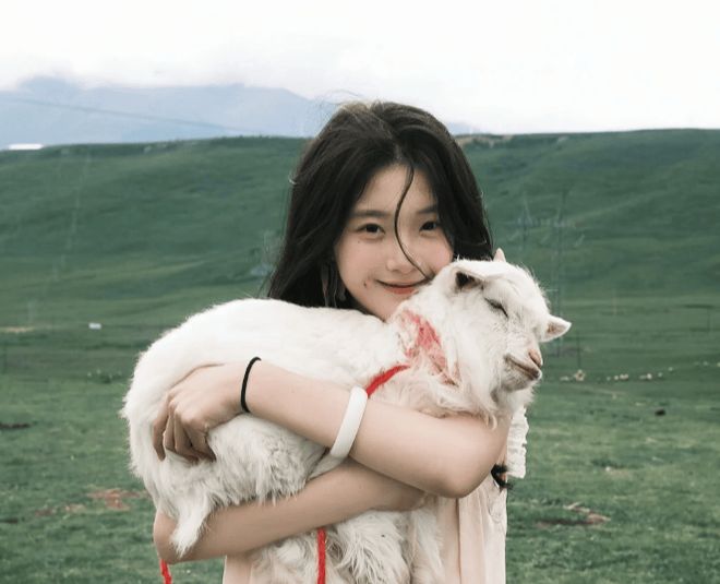 销多少钱？第一次去西北青甘大环线必看攻略AG旗舰厅娱乐平台和女友去西北玩7天花(图3)